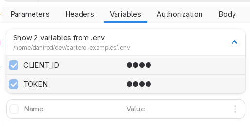 Showing the .env variables